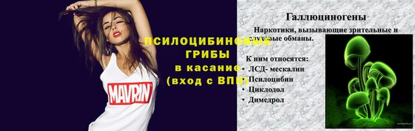 ПСИЛОЦИБИНОВЫЕ ГРИБЫ Волоколамск